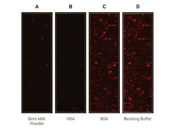 Blocking Buffer For Fluorescent Western Blotting 3-Pack