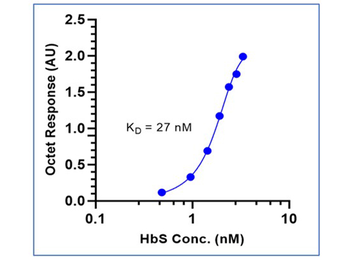 Hemoglobin beta S Antibody