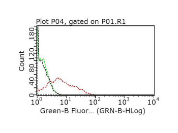 Recombinant HER2 Fab Antibody