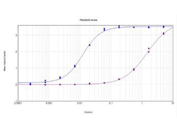 AKT phospho T308 Antibody