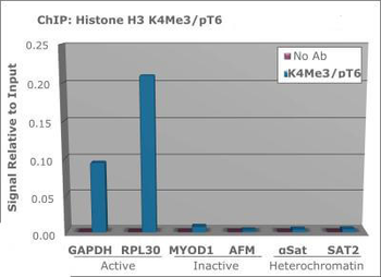 Histone H3 K4me3/phospho T6 Antibody
