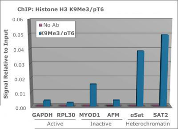 Histone H3 K9me3/phospho T6 Antibody