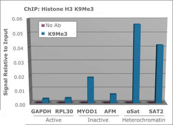 Histone H3 K9me3 Antibody