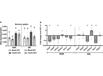 Human Collagen Type I protein