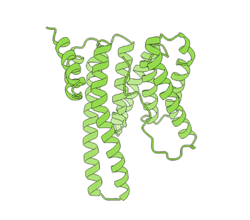 YWHAE Polyclonal Antibody