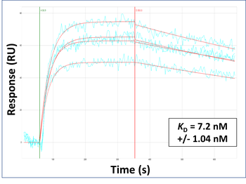 GOLGB1 Rabbit Polyclonal Antibody