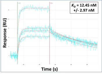 COL6A5 Rabbit Polyclonal Antibody