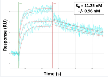SPRTN Rabbit Polyclonal Antibody