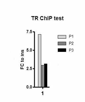 Thrb Rabbit Polyclonal Antibody