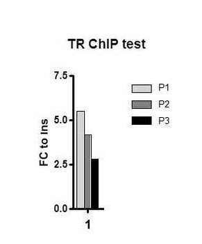 Thrb Rabbit Polyclonal Antibody