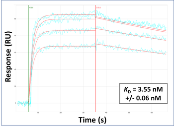 PTGDS Rabbit Polyclonal Antibody