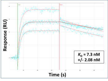 APOE Rabbit Polyclonal Antibody