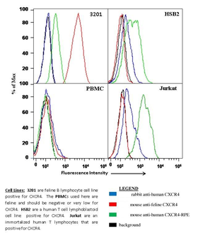 CXCR4 Rabbit Polyclonal Antibody