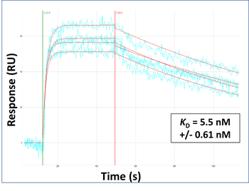 Pax7 Rabbit Polyclonal Antibody