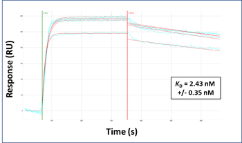 AEBP1 Rabbit Polyclonal Antibody