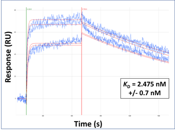 ZBTB32 Rabbit Polyclonal Antibody