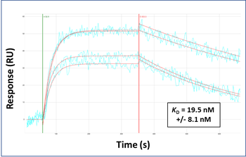 ATOH1 Rabbit Polyclonal Antibody
