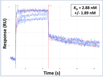 WWTR1 Rabbit Polyclonal Antibody