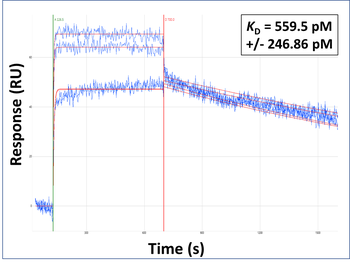 CITED1 Rabbit Polyclonal Antibody