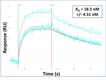 MFAP4 Rabbit Polyclonal Antibody