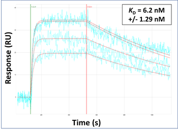 DMBT1 Rabbit Polyclonal Antibody