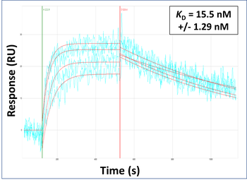 RNF43 Rabbit Polyclonal Antibody