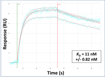 SLC15A4 Rabbit Polyclonal Antibody