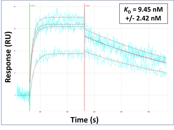 EPOR Rabbit Polyclonal Antibody