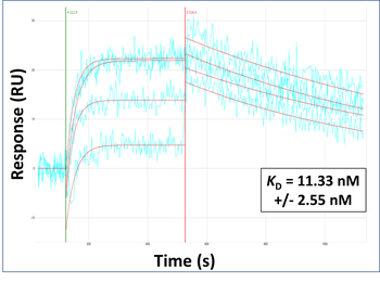 RHOT1 Rabbit Polyclonal Antibody