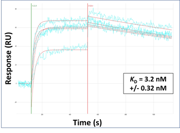 Kras Rabbit Polyclonal Antibody