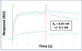 SIAH2 Rabbit Polyclonal Antibody