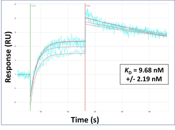 TNFAIP6 Rabbit Polyclonal Antibody