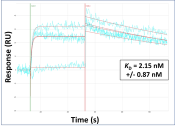 SPAM1 Rabbit Polyclonal Antibody