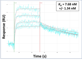 IL4I1 Rabbit Polyclonal Antibody