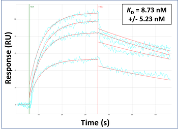 FOLR2 Rabbit Polyclonal Antibody