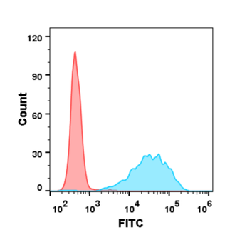 CD47 Biosimilar Antibody