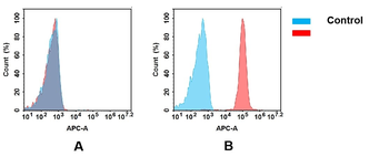CD47 Biosimilar Antibody