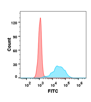 TNFSF11 Biosimilar Antibody