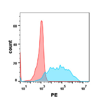 CSF1R Biosimilar Antibody