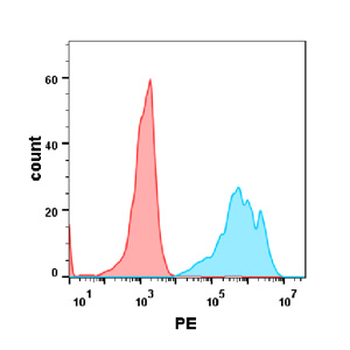 CD19 Biosimilar Antibody