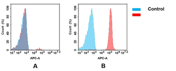 CD47 Biosimilar Antibody