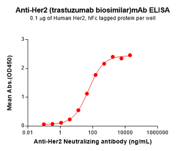 Her2 Biosimilar Antibody