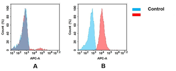 CD37 Biosimilar Antibody