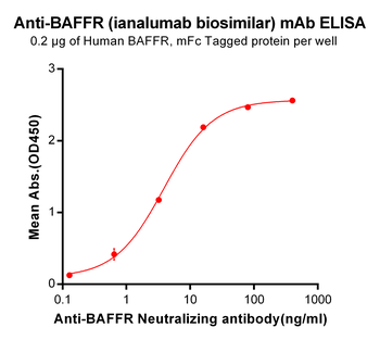 BAFF-R Biosimilar Antibody