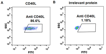 CD40 Ligand Biosimilar Antibody