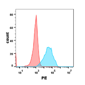 CEACAM5 Biosimilar Antibody