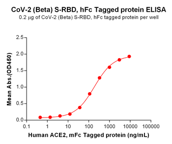 SARS-CoV-2 (Omicron) Nucleocapsid, C-His Tag