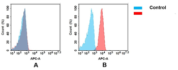 B7-H6 Antibody
