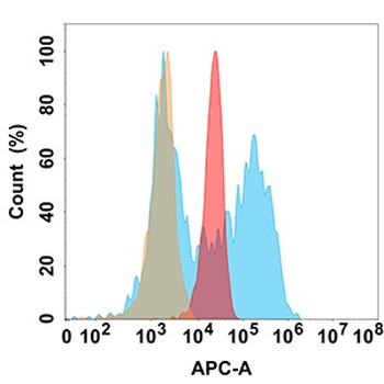 B7-H6 Antibody