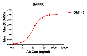 BAFF-R Antibody